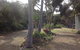 Port Elliot Rural Retreat - thumb 1
