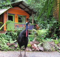 Rainforest Hideaway - Hotel Accommodation