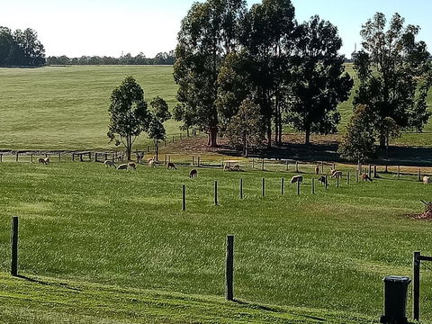 Redtail Ridge Cottages - Hotel Accommodation 1