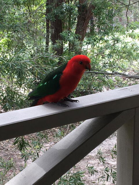 Sea Nest - Hotel Accommodation 1