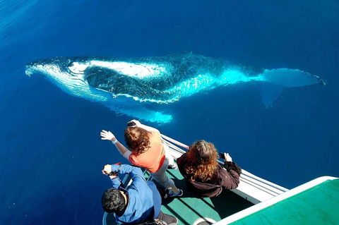 Shelly Beach Motel - Hotel Accommodation 2