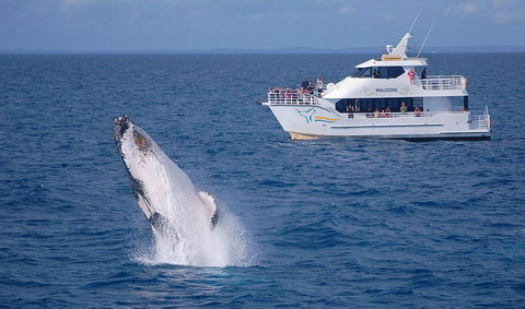 Shelly Beach Motel - Hotel Accommodation 0