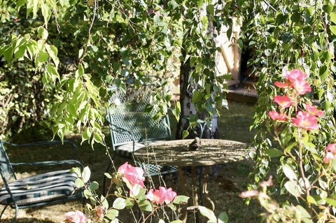 Silver Birch B&B - Hotel Accommodation 3