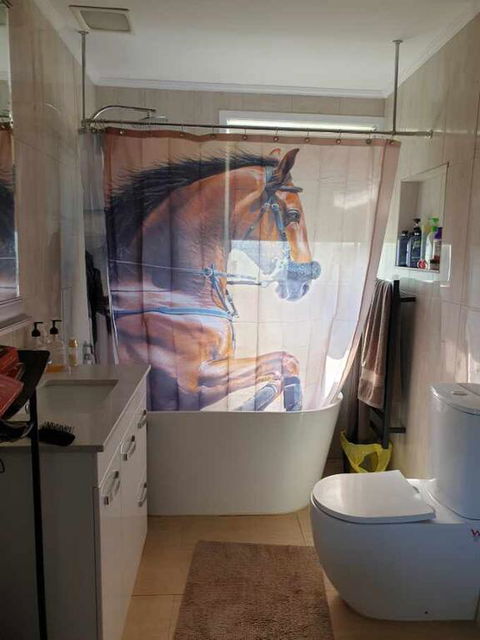 Silverbirch Cottage - Hotel Accommodation 3