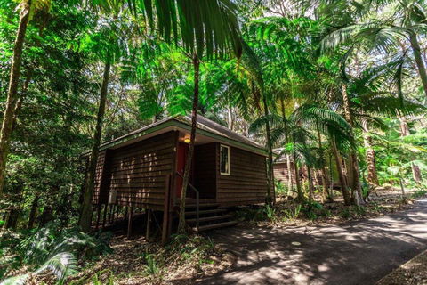 Songbirds Rainforest Retreat - Hotel Accommodation 2