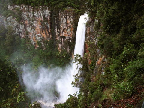 Springbrook Lyrebird Retreat - Hotel Accommodation 2