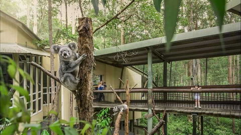 Springwood Meditation Centre - Hotel Accommodation 0