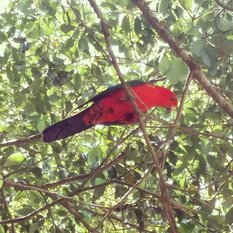 Sunshine Valley Cottages - Hotel Accommodation 3