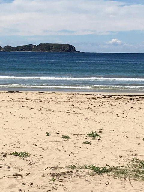 Surf Beach Holiday - Hotel Accommodation 0