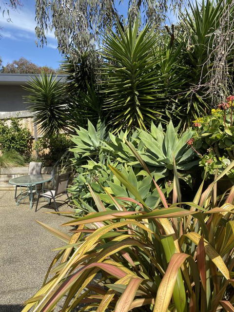 Surf Coast Haven - Hotel Accommodation 3