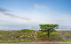 Tahren Beachfront Shack - thumb 3