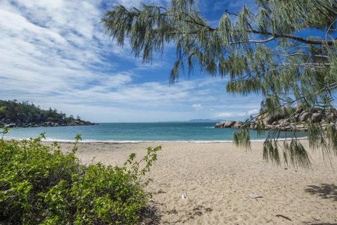 The Beach House At Arthur Bay - Hotel Accommodation 1
