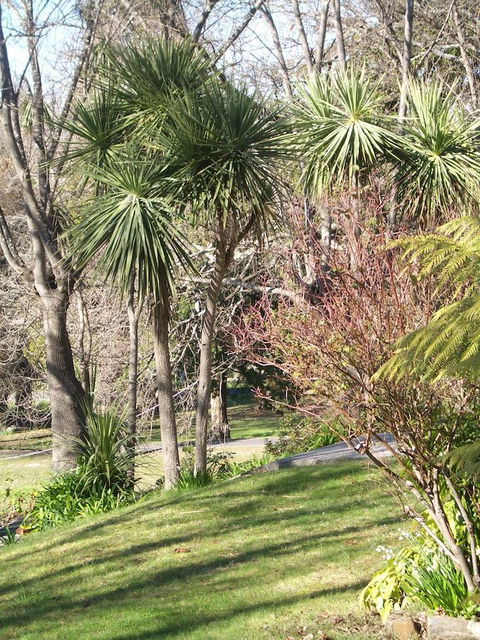 Lucinda B&B - Hotel Accommodation 23