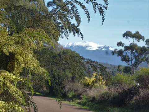 Southern Forest Accommodation - Hotel Accommodation 24