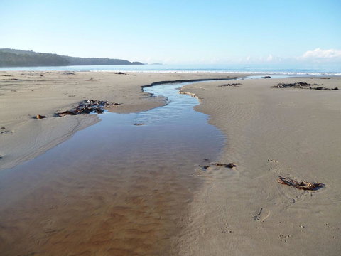 Southern Forest Accommodation - Hotel Accommodation 28