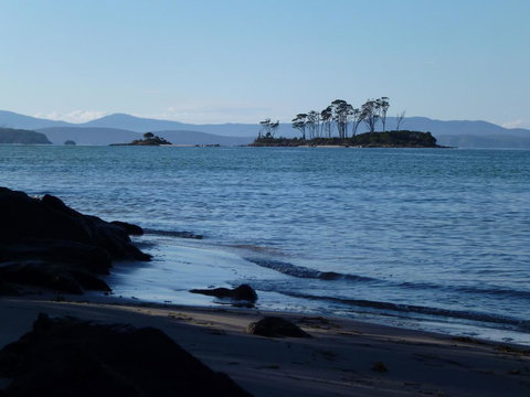 Southern Forest Accommodation - Hotel Accommodation 26