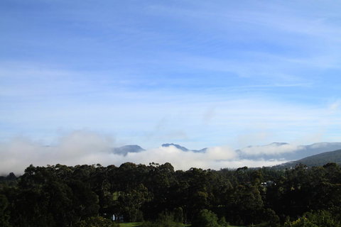 BIG.SHED.HOUSE - Hotel Accommodation 11