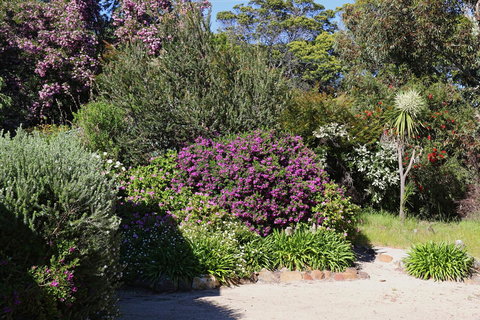 Hazards Beach House - Hotel Accommodation 1