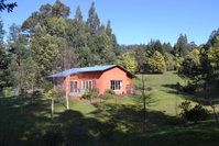 Book Franklin Accommodation Vacations Hotel Accommodation Hotel Accommodation