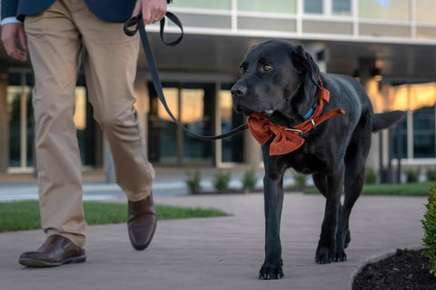 Peppers Silo - Hotel Accommodation 44