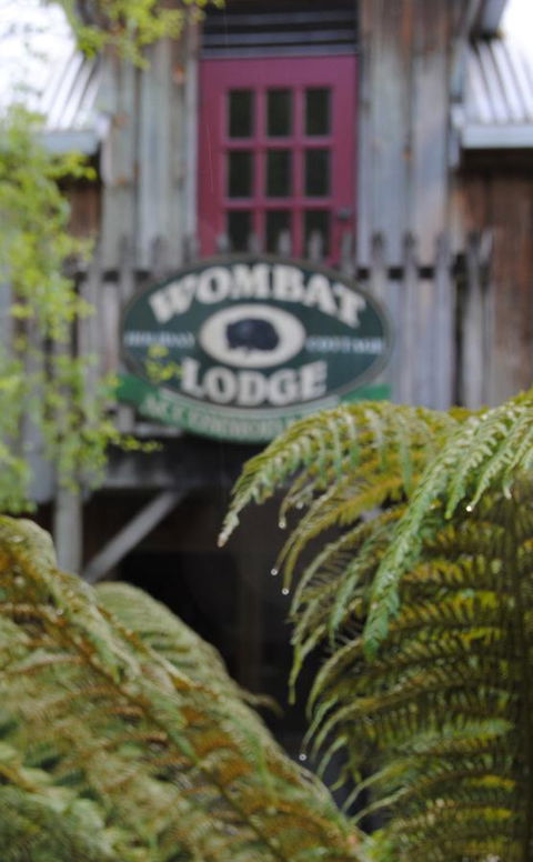 The Wombat Cottage - Hotel Accommodation 0
