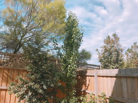 Ellia Doncaster Apartment - Hotel Accommodation 17