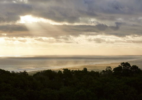 RACV Cape Schanck Resort - Hotel Accommodation 6