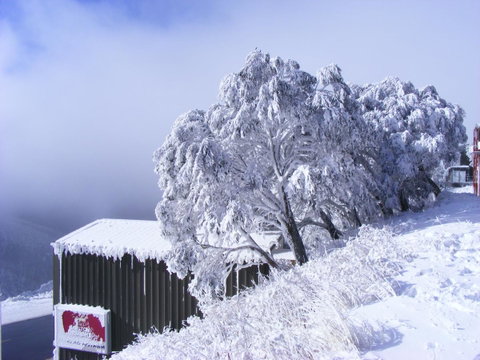 Arlberg Hotham - Hotel Accommodation 15