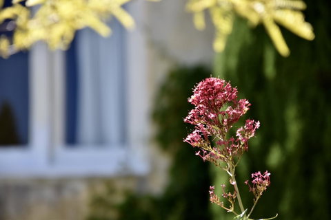 Villa Mallorca - Hotel Accommodation 28