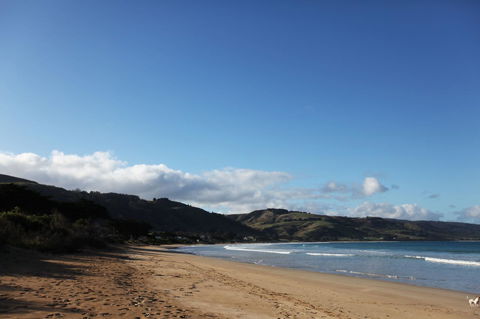 7 Falls Apartments - Hotel Accommodation 0