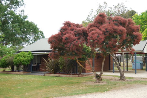 Greenvale Holiday Units - Hotel Accommodation 9