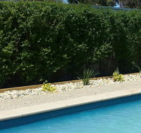 Robinvale Bridge Motel - Hotel Accommodation