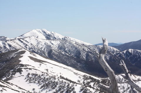 Shady Brook Cottages - Hotel Accommodation 4