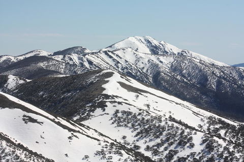 Shady Brook Cottages - Hotel Accommodation 31