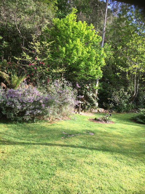 Shady Brook Cottages - Hotel Accommodation 6