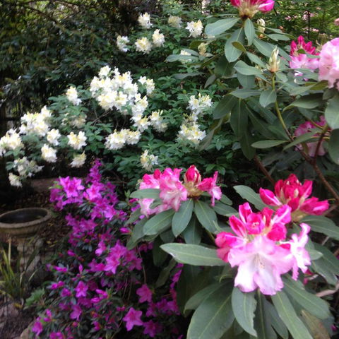 Shady Brook Cottages - Hotel Accommodation 10