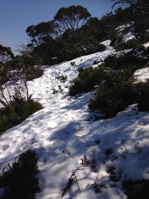 Shady Brook Cottages - Hotel Accommodation 11