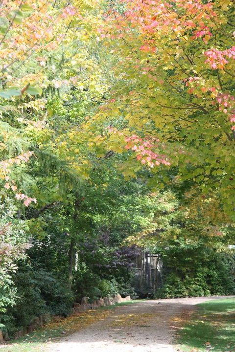 Shady Brook Cottages - Hotel Accommodation 14