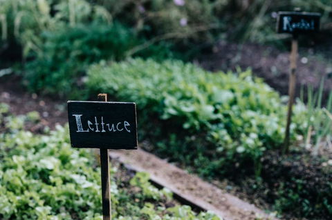 Acre Of Roses - Hotel Accommodation 6