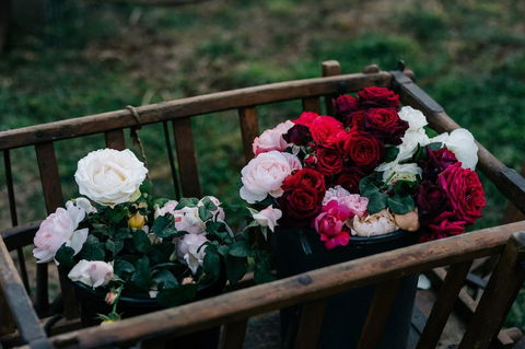 Acre Of Roses - Hotel Accommodation 21