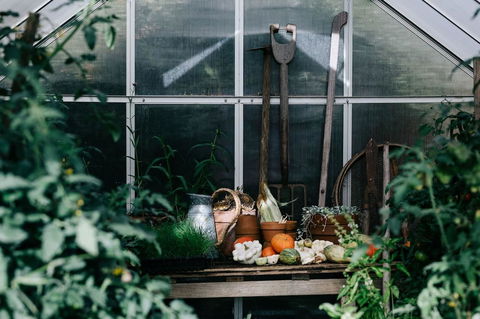 Acre Of Roses - Hotel Accommodation 16