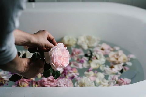 Acre Of Roses - Hotel Accommodation 7