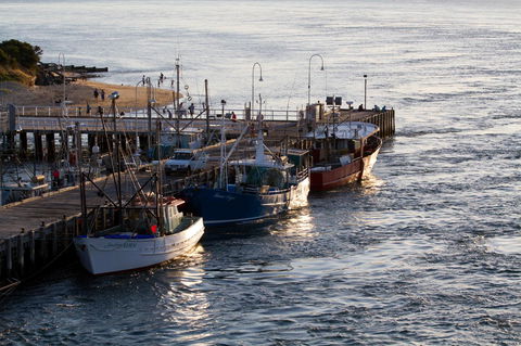 Arcadia Phillip Island - Hotel Accommodation 26