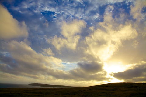 Arcadia Phillip Island - Hotel Accommodation 17