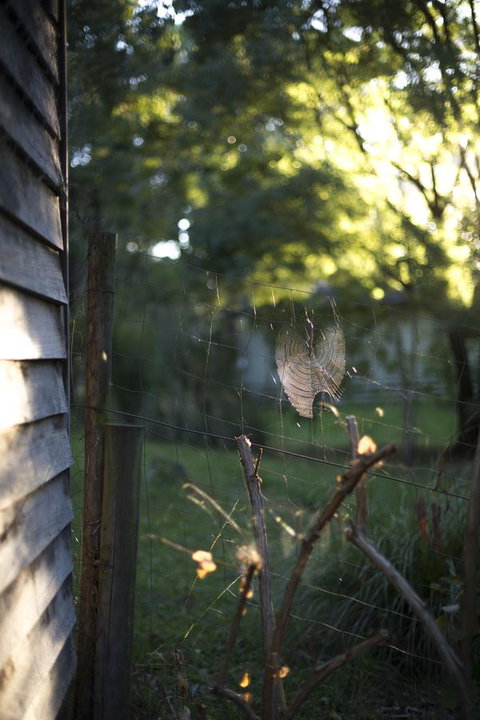 Botanica Editions - Hotel Accommodation 14