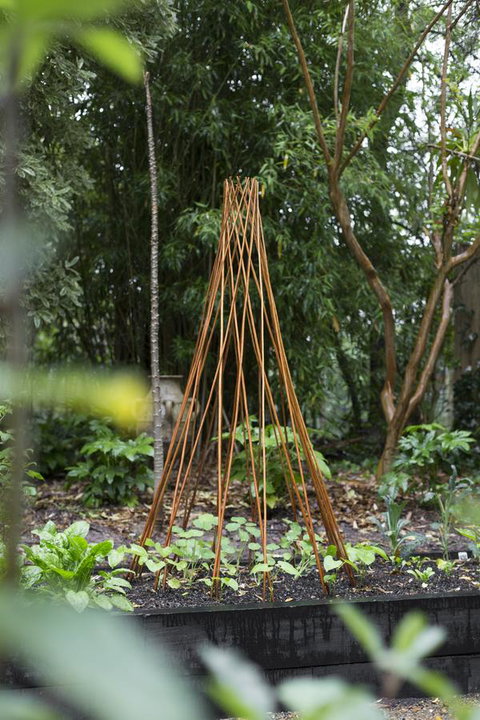 Botanica Editions - Hotel Accommodation 23