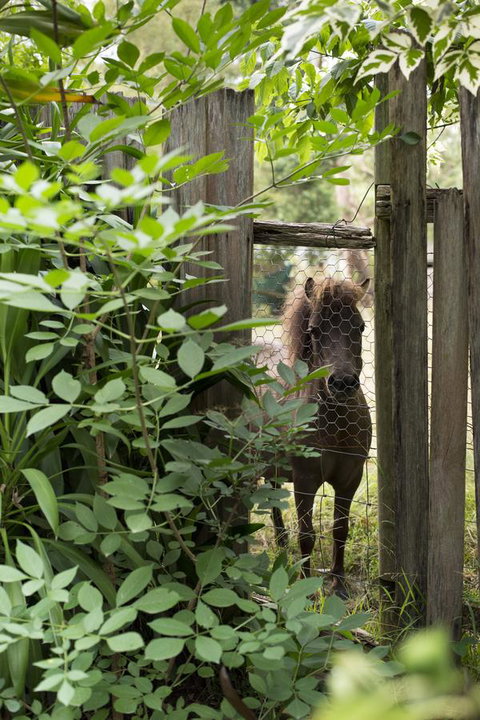 Botanica Editions - Hotel Accommodation 40