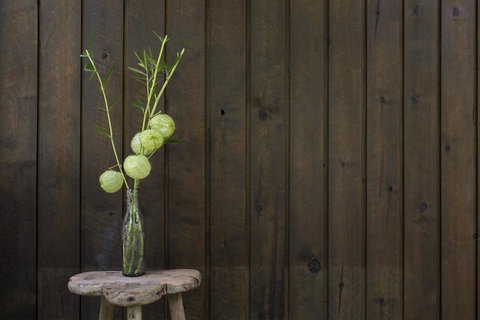 Botanica Editions - Hotel Accommodation 10