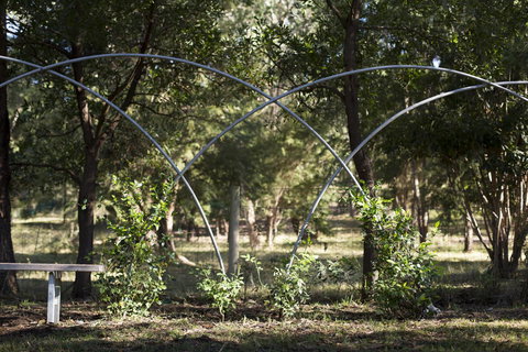 Botanica Editions - Hotel Accommodation 42