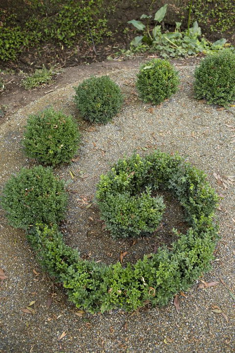 Botanica Editions - Hotel Accommodation 7